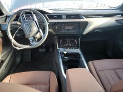 Audi e-tron Premium Plus 2021 8