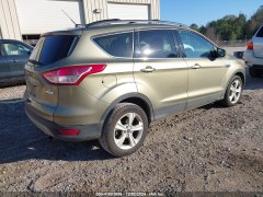 Ford Escape SE 2013 3